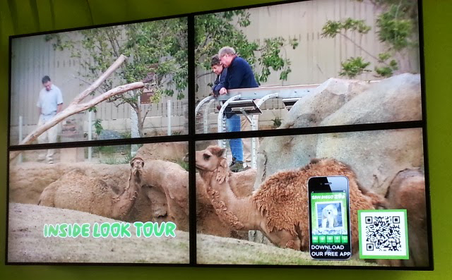 qr code, san diego zoo